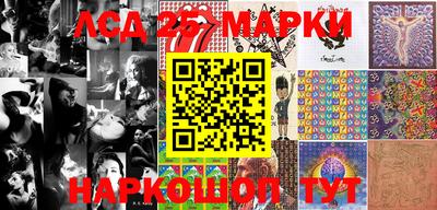 крисы Аргун