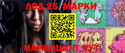 крисы Аргун