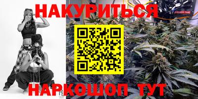 крисы Аргун