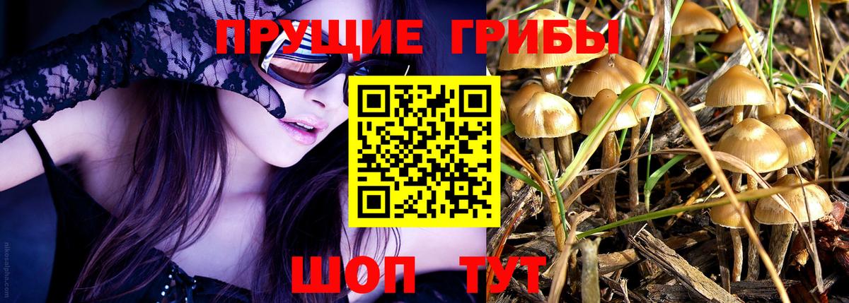 Псилоцибиновые грибы Magic Shrooms  Вход с VPN  Пенза 