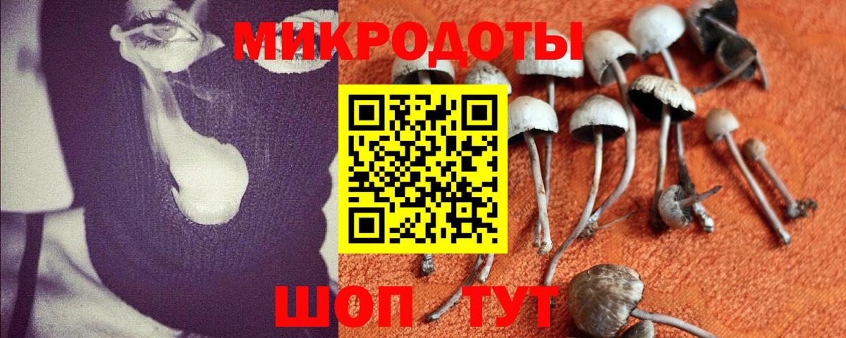 Псилоцибиновые грибы мухоморы  Пенза 